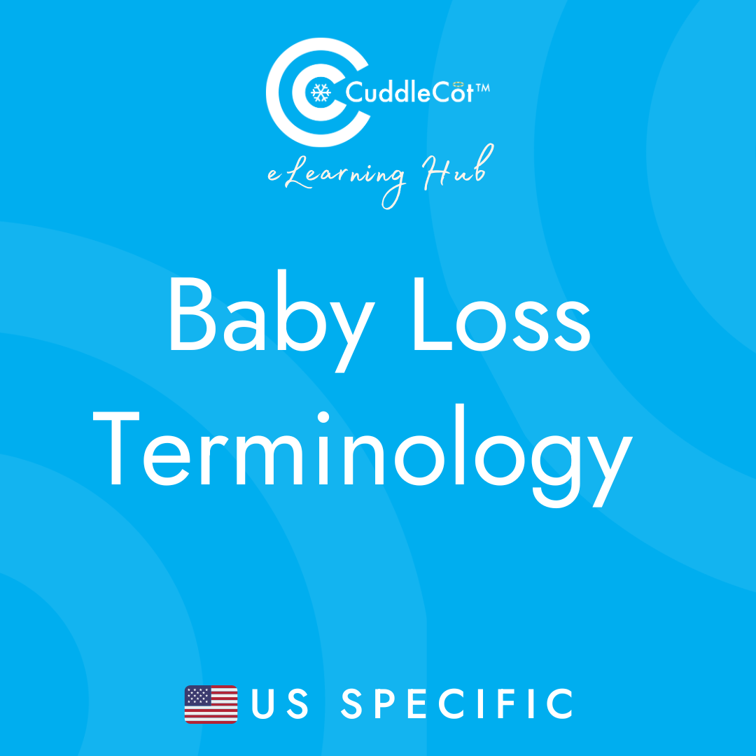 Baby-loss-terminology.png