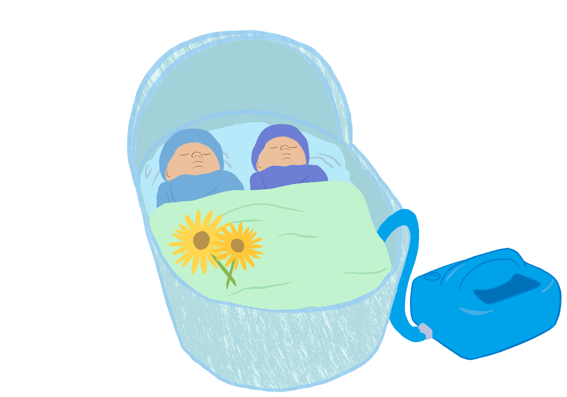 Twins in basket using CuddleCot